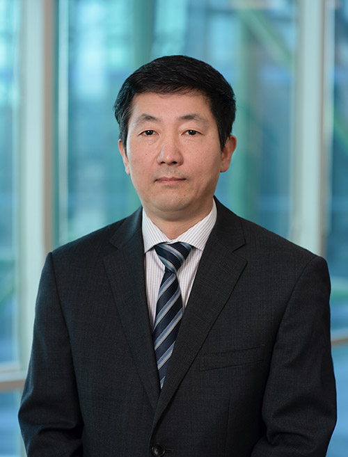 Don-Song-Profile